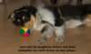 dsc07689_small.jpg