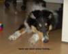 dsc07690_small.jpg