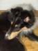 dsc07701_small.jpg