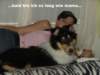 dsc07711_small.jpg