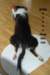 dsc07716_small.jpg