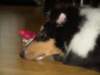 dsc07719_small.jpg