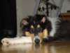 dsc07723_small.jpg