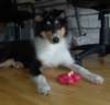 dsc07725_small.jpg