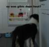 dsc07726_small.jpg