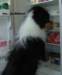 dsc07728_small.jpg