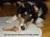 dsc07774_small.jpg