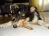 dsc07775_small.jpg