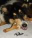 dsc07776_small.jpg