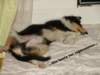 dsc07782_small.jpg
