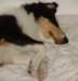 dsc07783_small.jpg