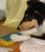 dsc07804_small.jpg