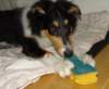 dsc07806_small.jpg