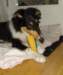 dsc07810_small.jpg