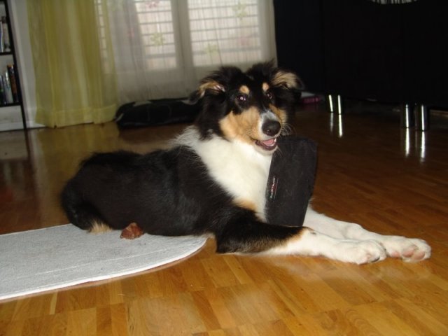 dsc07815.jpg
