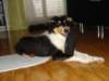 dsc07815_small.jpg