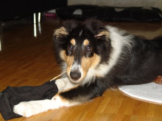 dsc07816.jpg