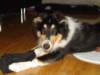 dsc07816_small.jpg
