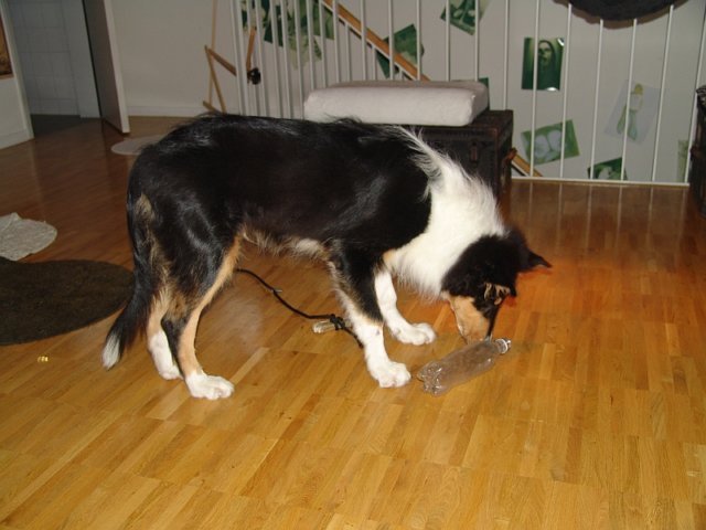 dsc07823.jpg