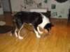 dsc07823_small.jpg