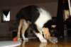 dsc07864_small.jpg
