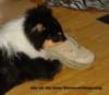 dsc07872_small.jpg