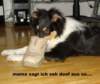 dsc07873_small.jpg