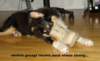 dsc07874_small.jpg