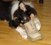 dsc07875_small.jpg