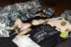 dsc07878_small.jpg