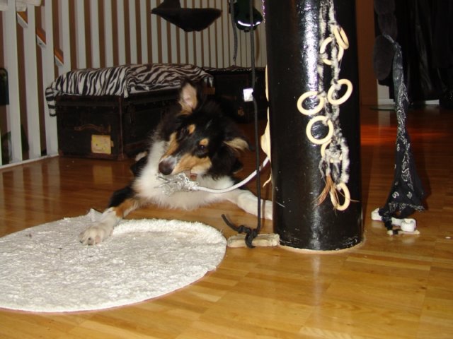 dsc07884.jpg