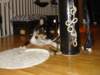 dsc07884_small.jpg