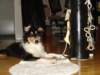 dsc07887_small.jpg