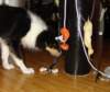 dsc07889_small.jpg