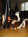 dsc07890_small.jpg