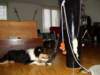 dsc07892_small.jpg